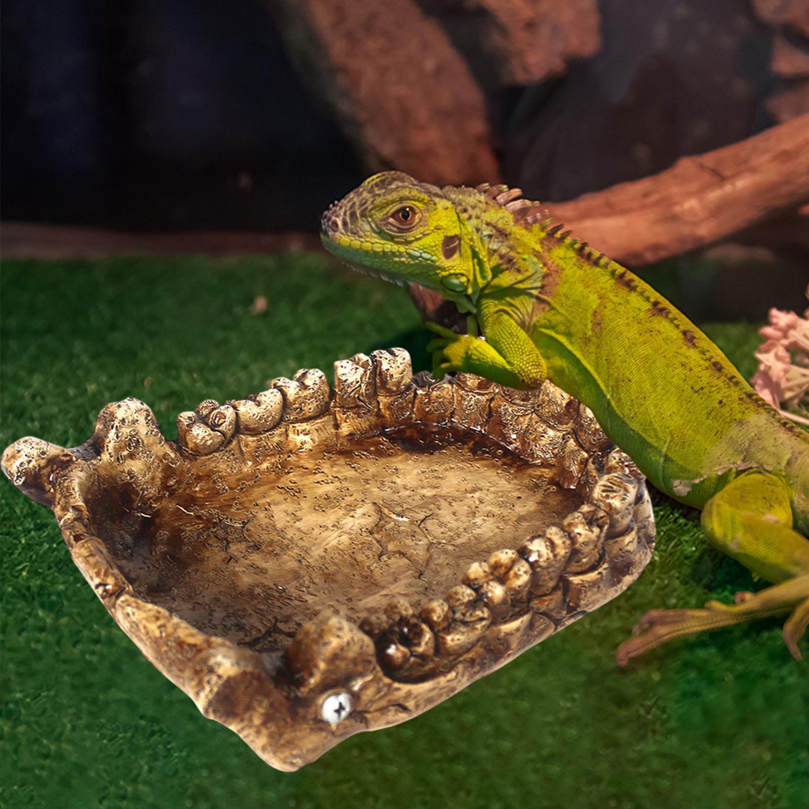 Water Dish Reptile - Reptile Feeding Bowl Turtle Bath Food