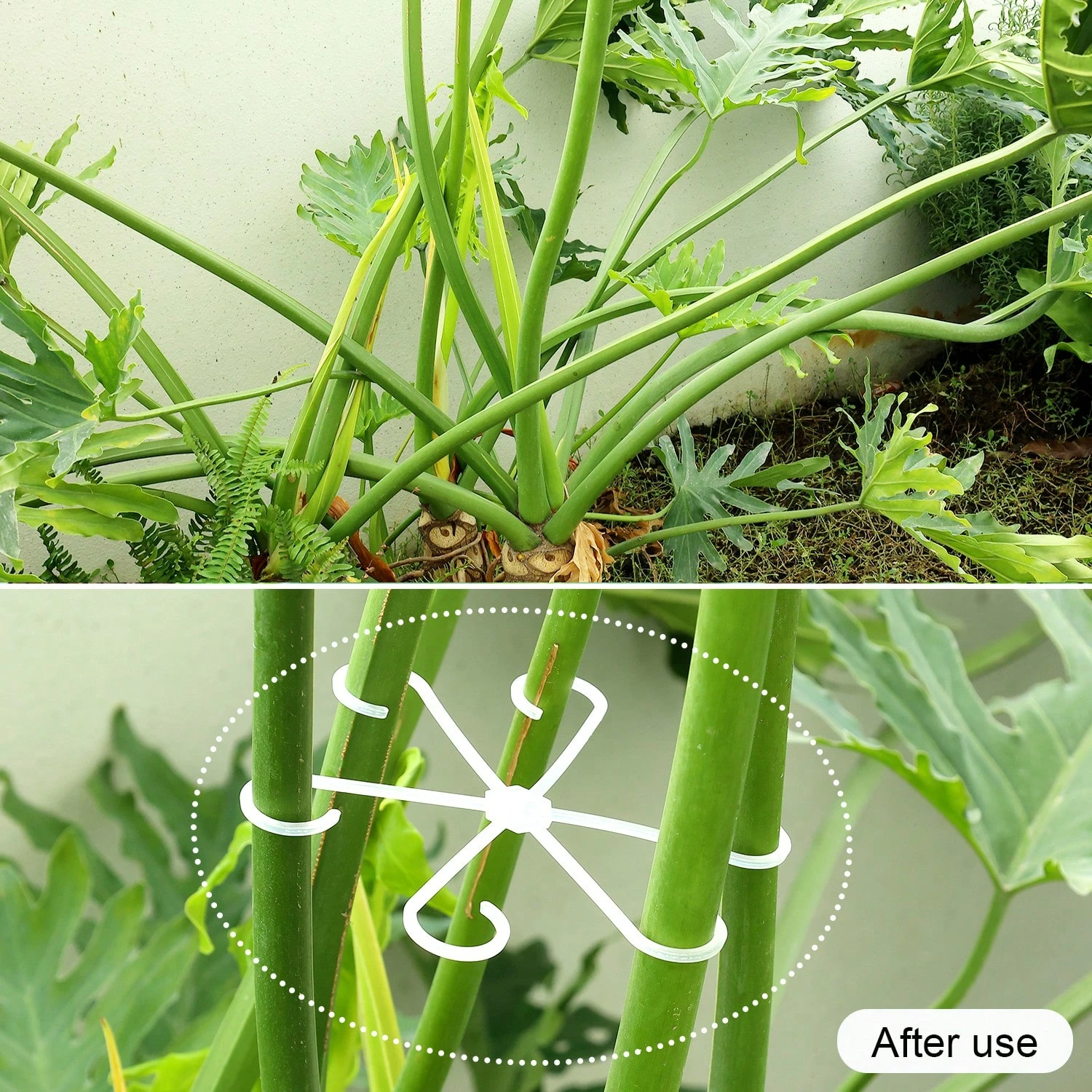 1Pc Plastic Plant Support Clip - Vine Climbing Plastic recensione e prezzo