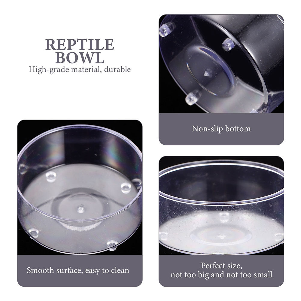 10Pcs Acrylic Reptile Food Wat - Water Dish Reptile recensione e prezzo