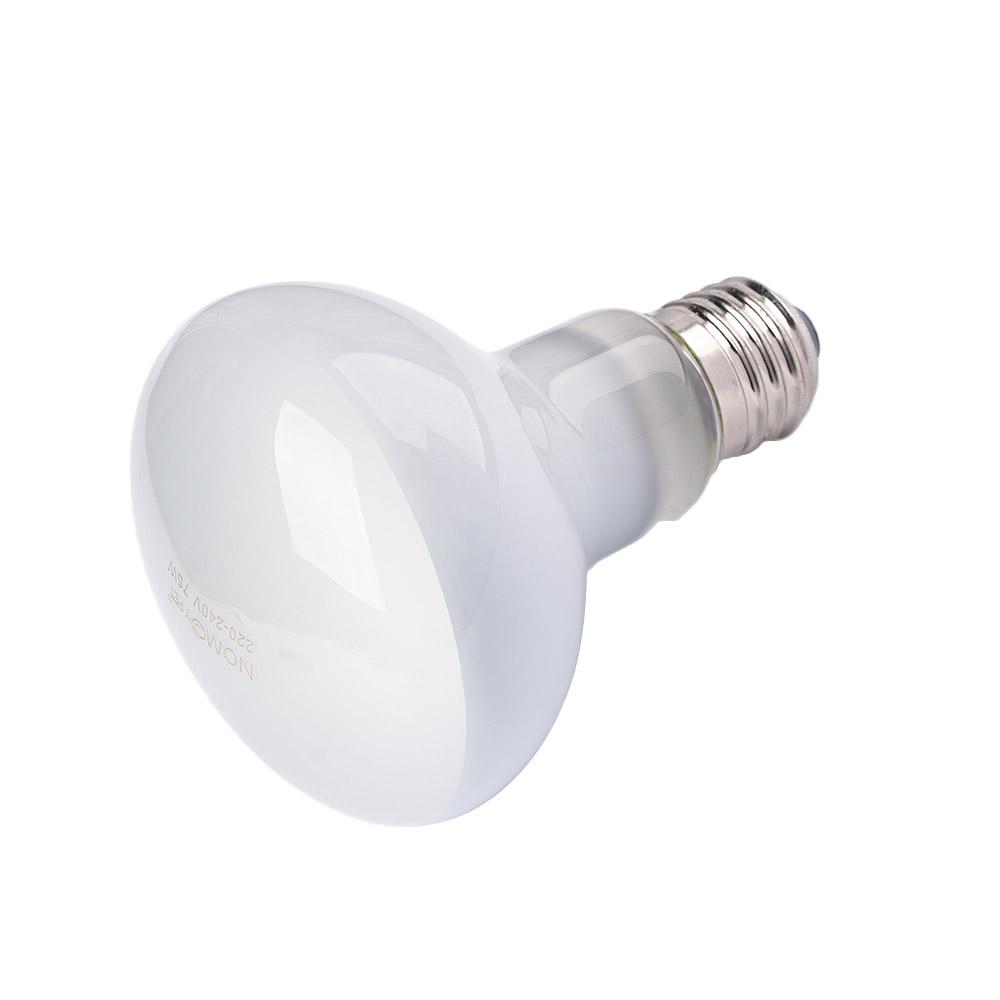 Lizard Heater Temperature Cont - Basking Bulb Halogen recensione e prezzo