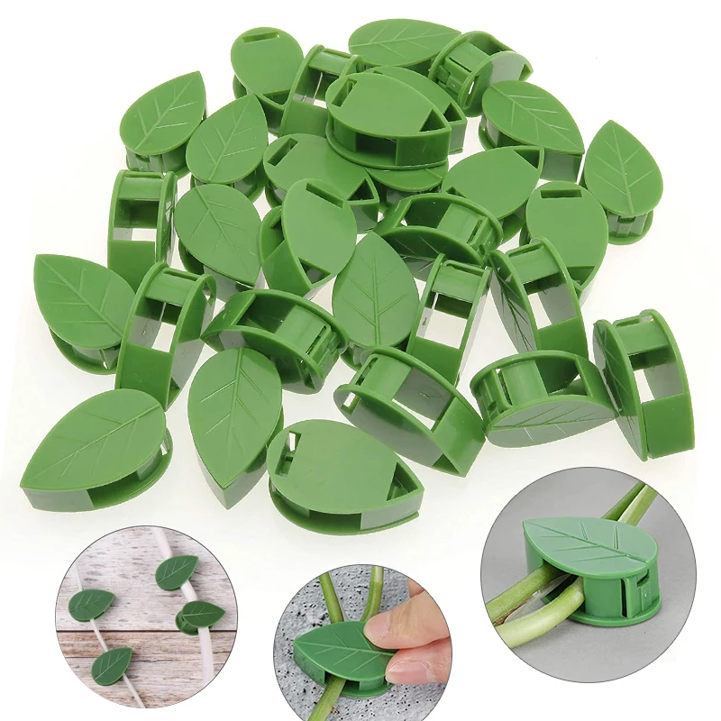 1-50Pcs invisible plant wall c - Vine Climbing Plastic recensione e prezzo