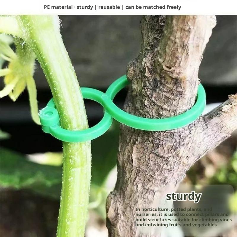 100 Pcs Plant Support Clips He - Vine Climbing Plastic recensione e prezzo