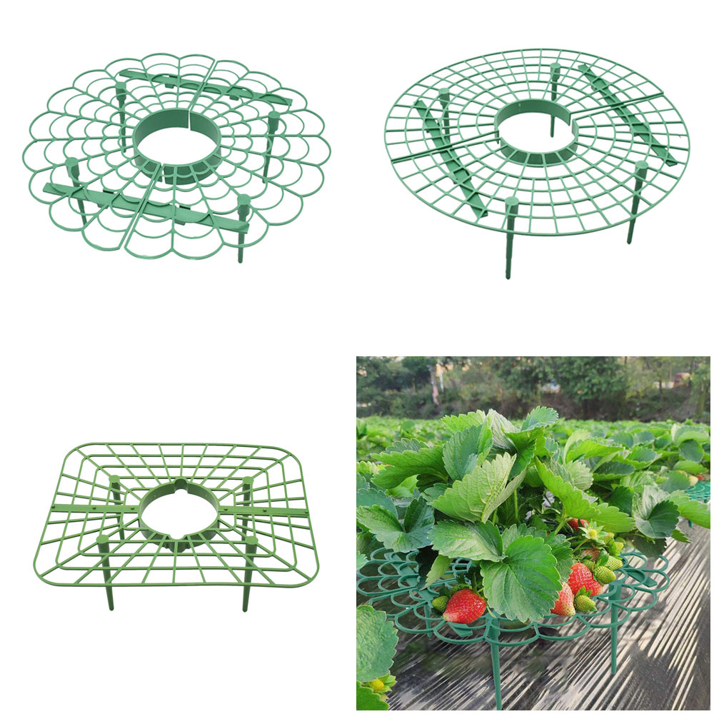 Strawberry Stand Frame Holder  - Vine Climbing Plastic recensione e prezzo