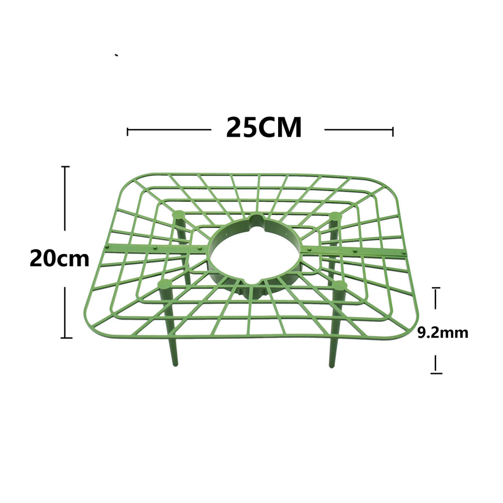 Strawberry Stand Frame Holder  - Vine Climbing Plastic recensione e prezzo