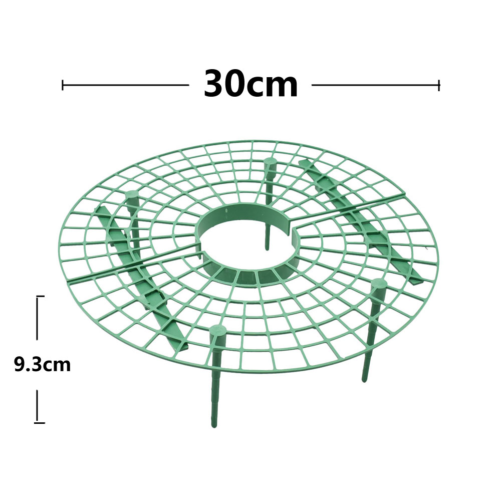 Strawberry Stand Frame Holder  - Vine Climbing Plastic recensione e prezzo