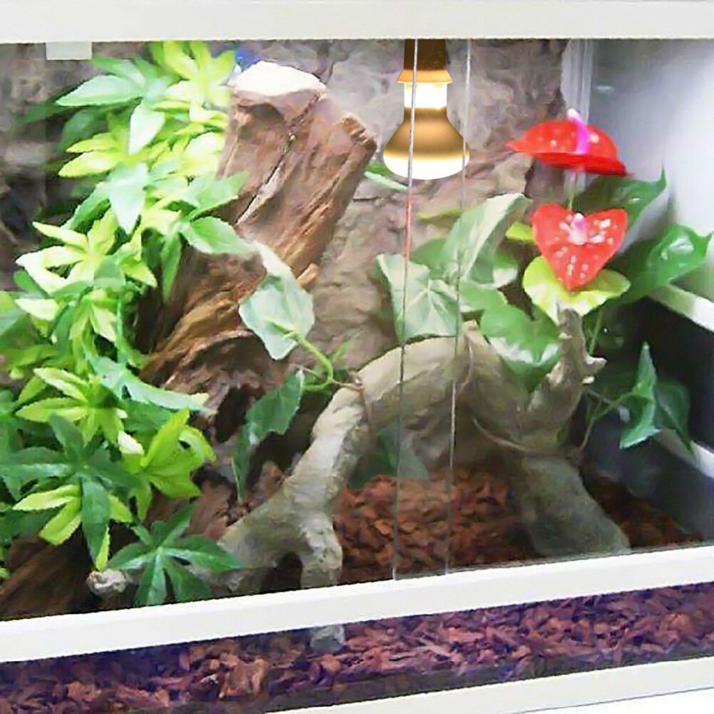 Lizard Temperature Controller  - Basking Bulb Halogen recensione e prezzo