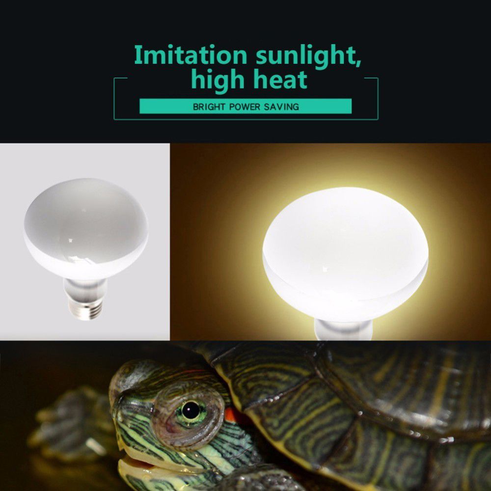 Lizard Temperature Controller  - Basking Bulb Halogen recensione e prezzo