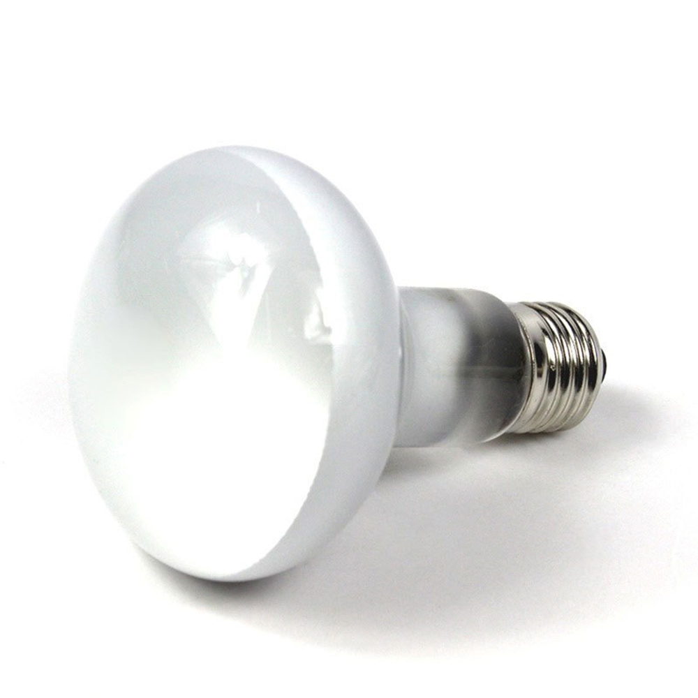 Lizard Temperature Controller  - Basking Bulb Halogen recensione e prezzo