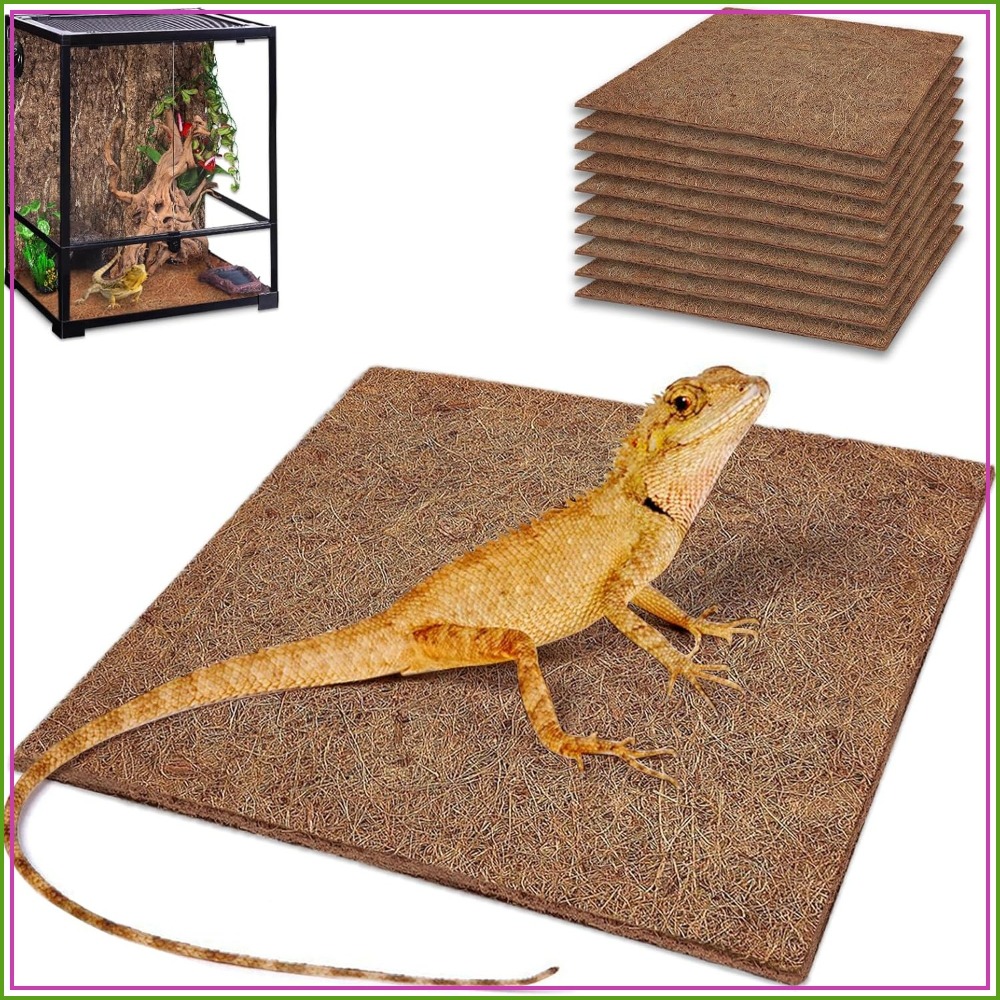10 Pcs Natural Coconut Fiber R - Substrate Coconut Fiber recensione e prezzo