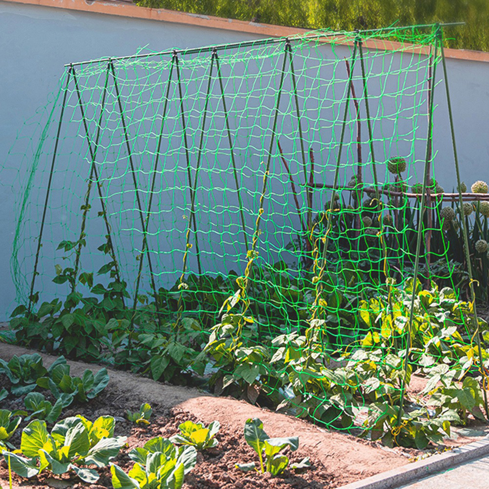 Garden Netting Plant Vine Grow - Vine Climbing Plastic recensione e prezzo