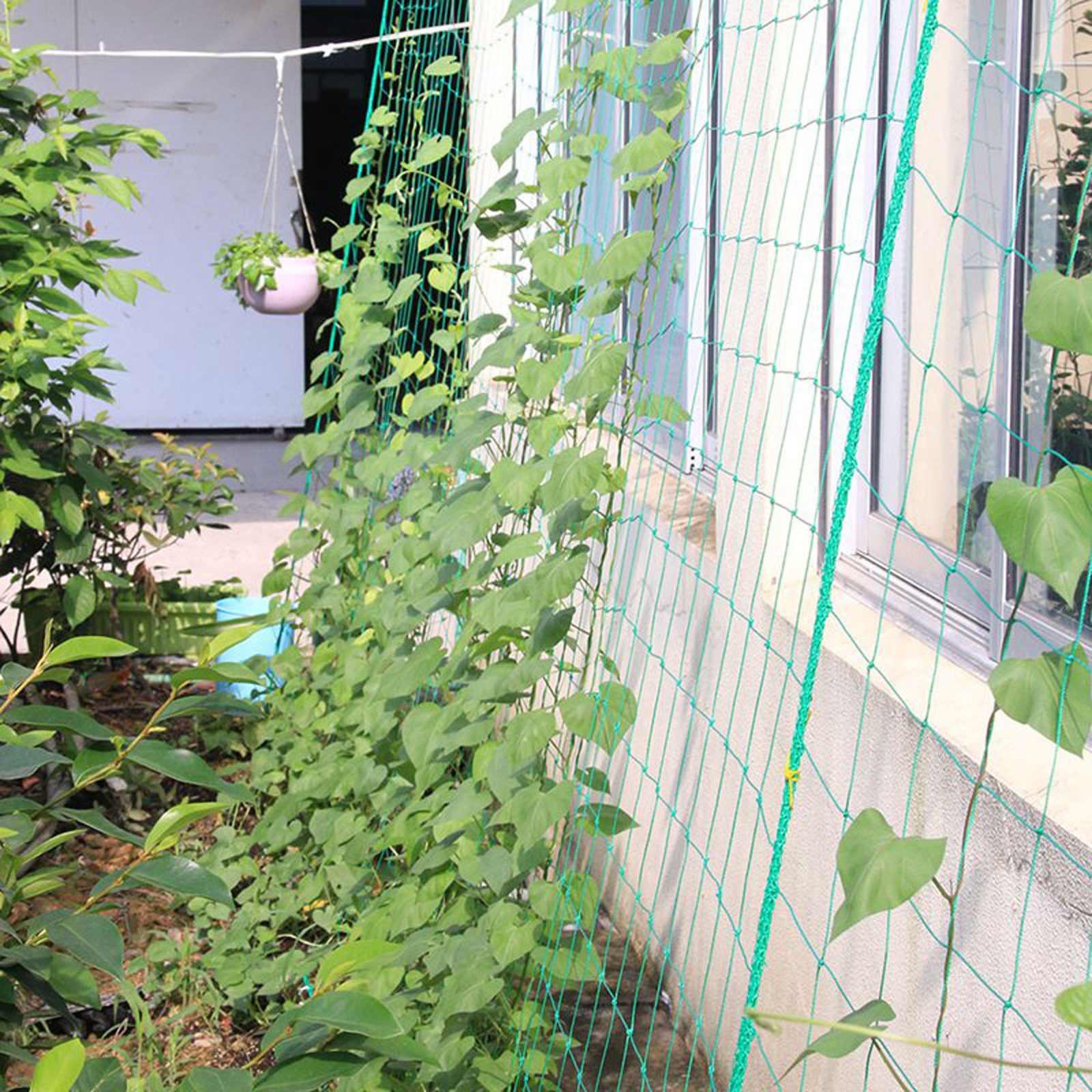 Garden Netting Plant Vine Grow - Vine Climbing Plastic recensione e prezzo