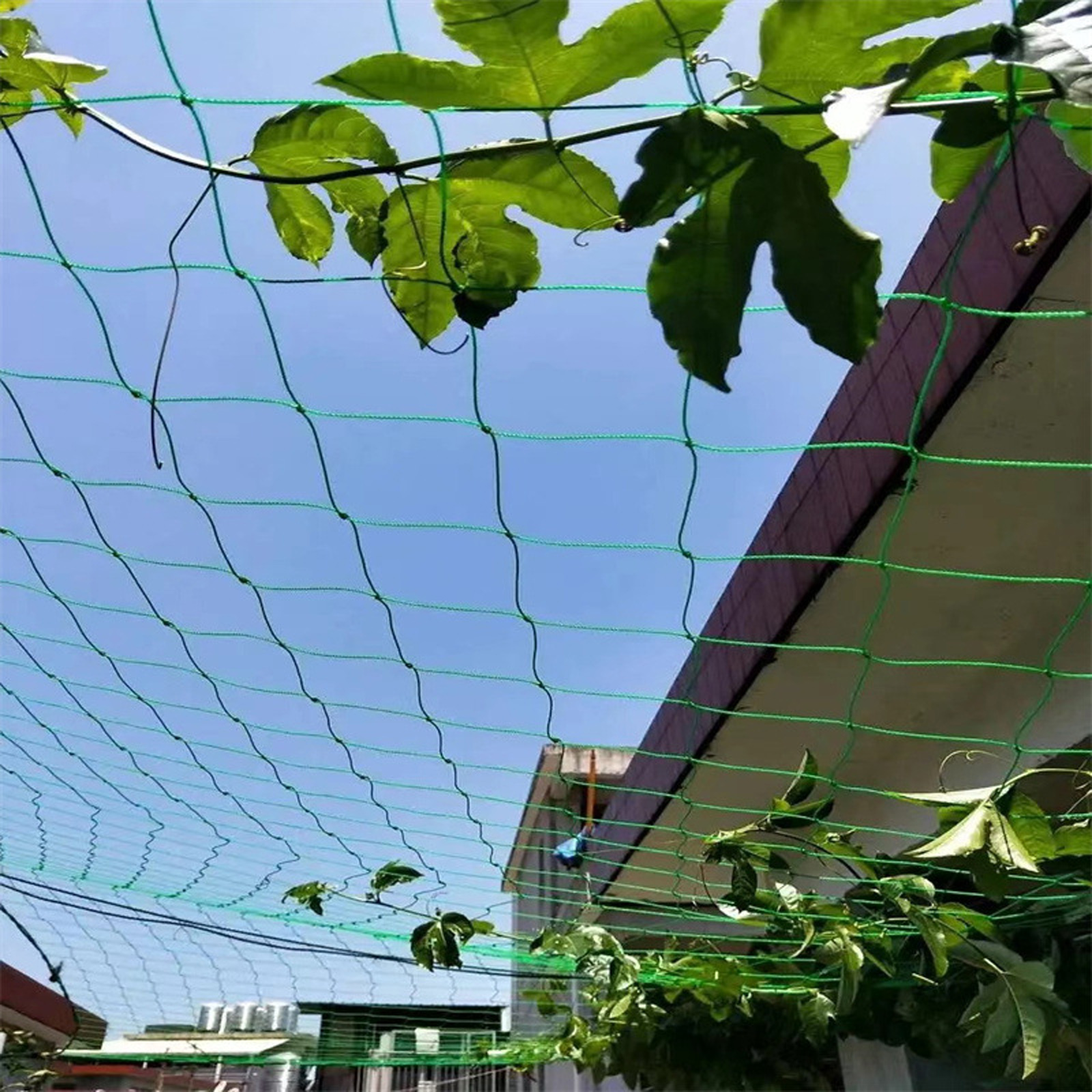 Garden Netting Plant Vine Grow - Vine Climbing Plastic recensione e prezzo