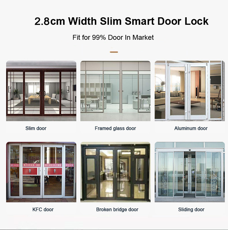 Smart Door Lock With Fingerpri - Glass Door Hinge recensione e prezzo
