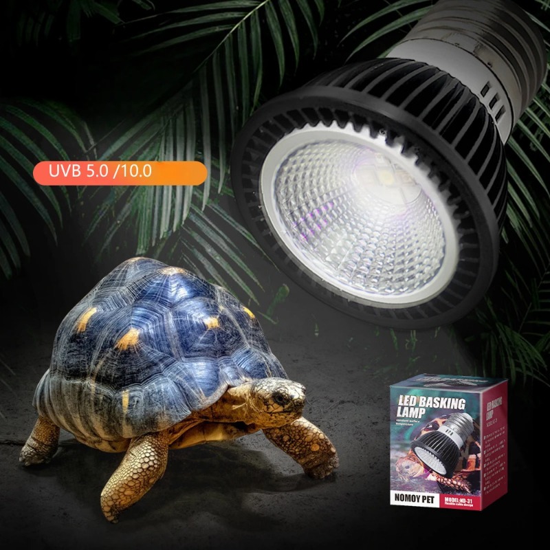 NOMOY Reptile 110/220V UVB+UVA - Calcium Powder Reptile recensione e prezzo