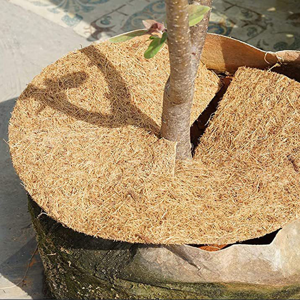 1 Roll Large Natural Coconut F - Substrate Coconut Fiber recensione e prezzo