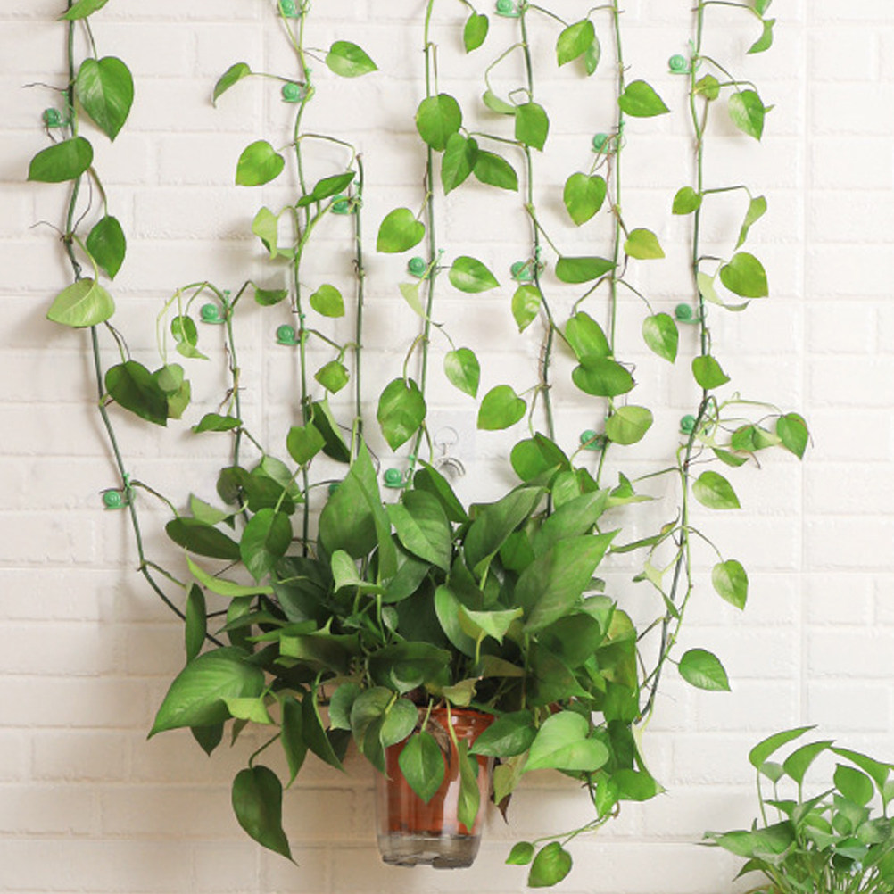 20Pcs Plant Climbing Wall Clip - Vine Climbing Plastic recensione e prezzo