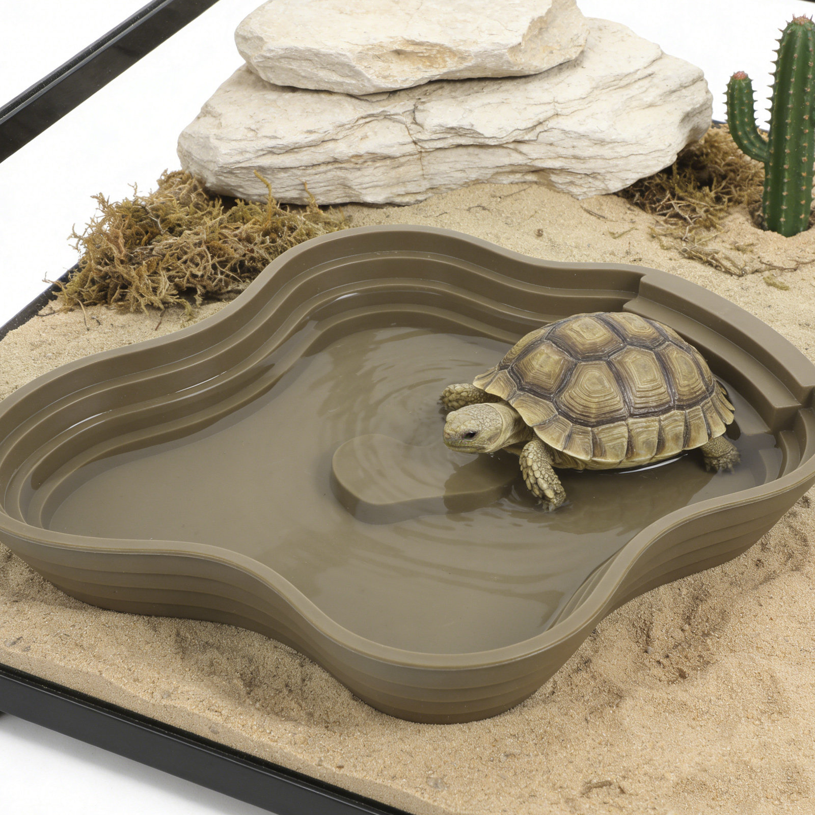 Large Turtle Reptile Bathing P - Water Dish Reptile recensione e prezzo