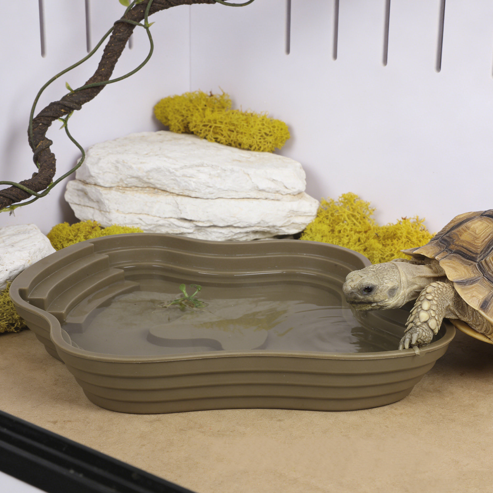 Large Turtle Reptile Bathing P - Water Dish Reptile recensione e prezzo