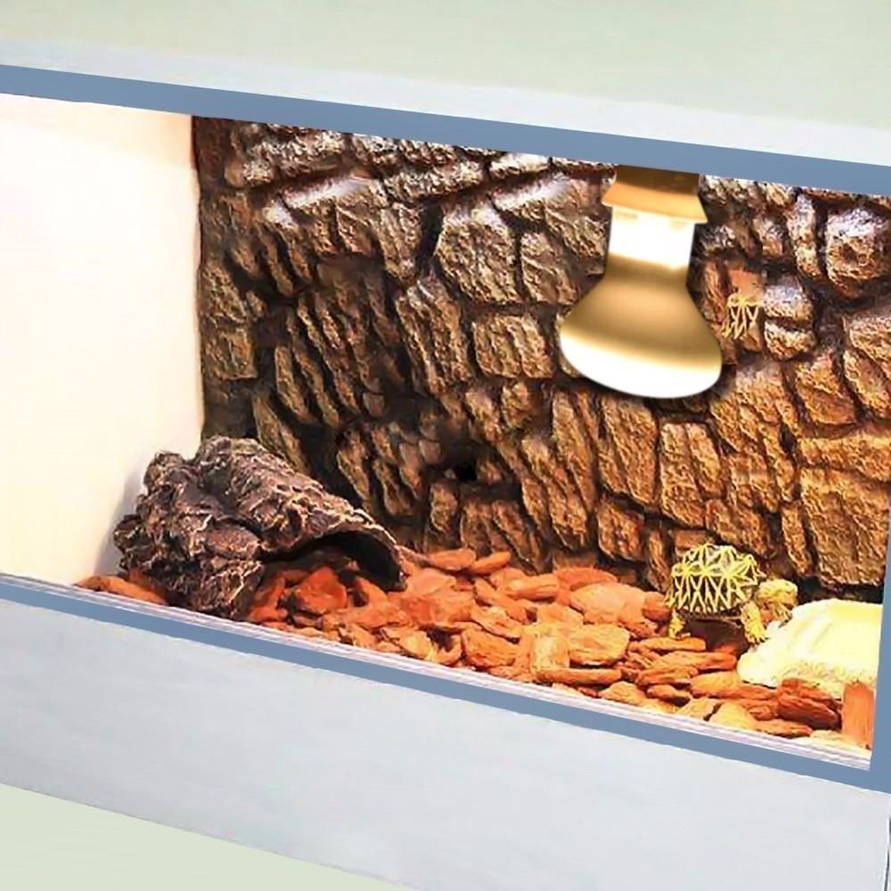 Turtle Heater Heat Lamp Reptil - Basking Bulb Halogen recensione e prezzo
