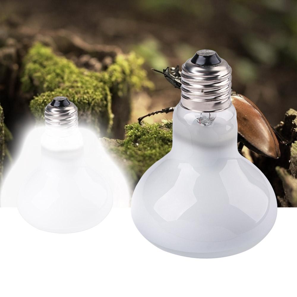 Turtle Heater Heat Lamp Reptil - Basking Bulb Halogen recensione e prezzo