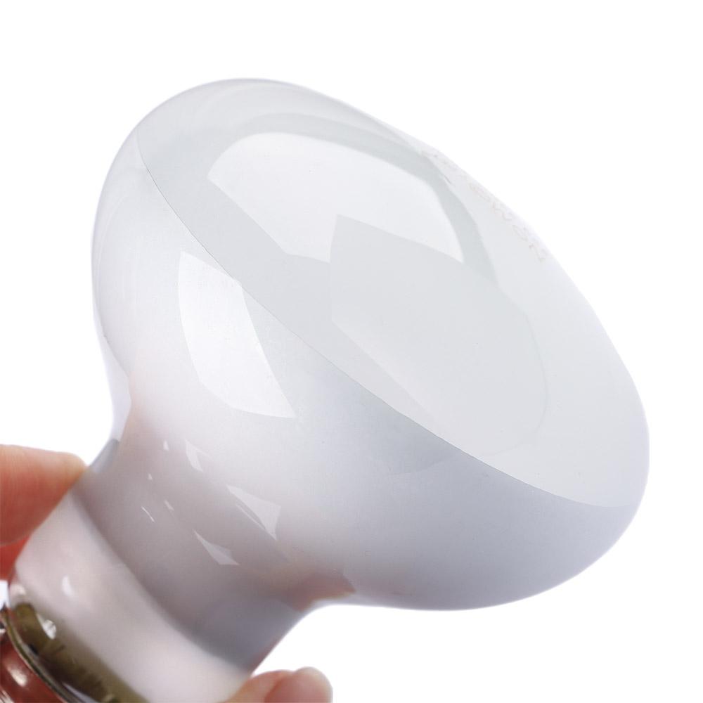 Turtle Heater Heat Lamp Reptil - Basking Bulb Halogen recensione e prezzo