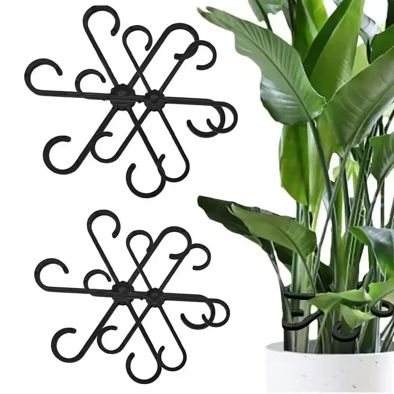 Stem Support Alocasia Monstera - Vine Climbing Plastic recensione e prezzo