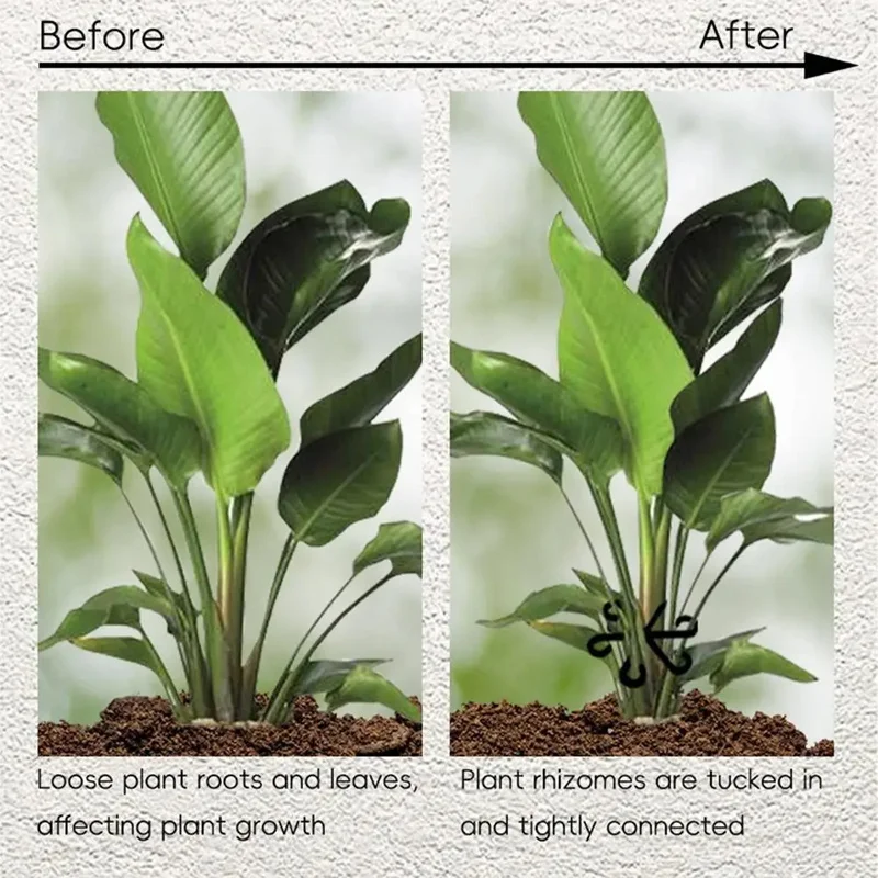 Stem Support Alocasia Monstera - Vine Climbing Plastic recensione e prezzo