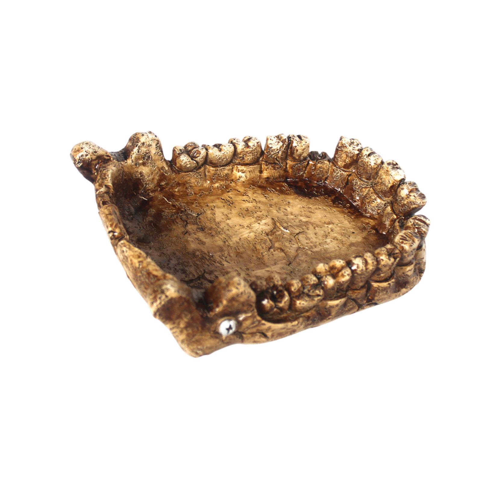 Reptile Feeding Bowl Turtle Ba - Water Dish Reptile recensione e prezzo