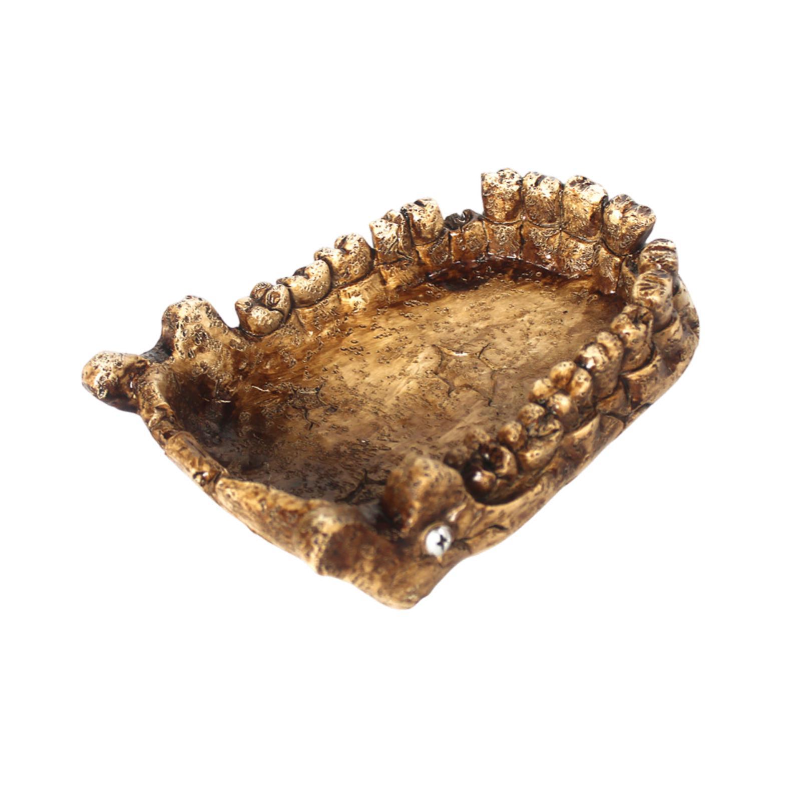 Reptile Feeding Bowl Turtle Ba - Water Dish Reptile recensione e prezzo