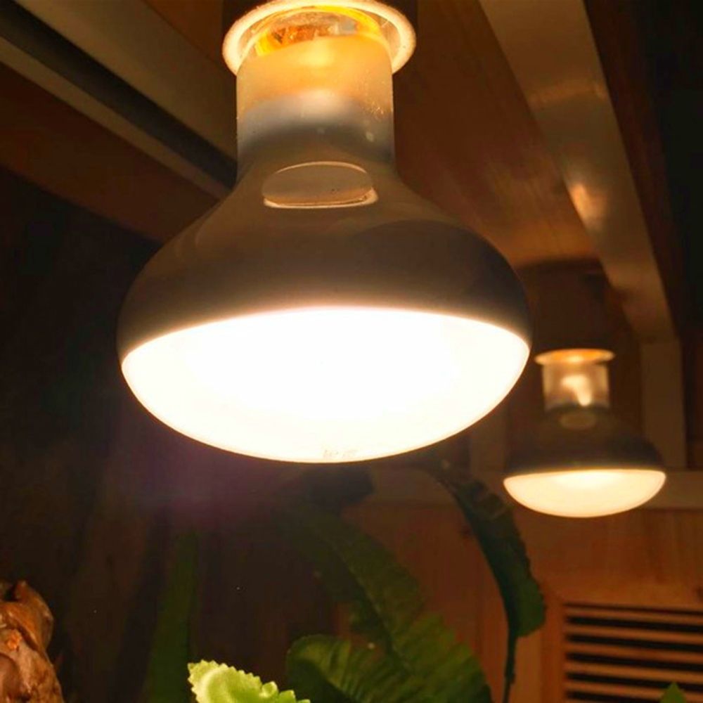 Turtle Heater Temperature Cont - Basking Bulb Halogen recensione e prezzo