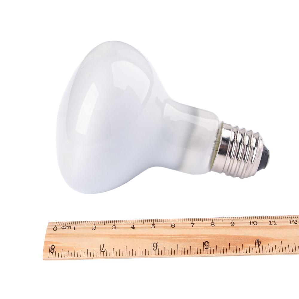 Turtle Heater Temperature Cont - Basking Bulb Halogen recensione e prezzo
