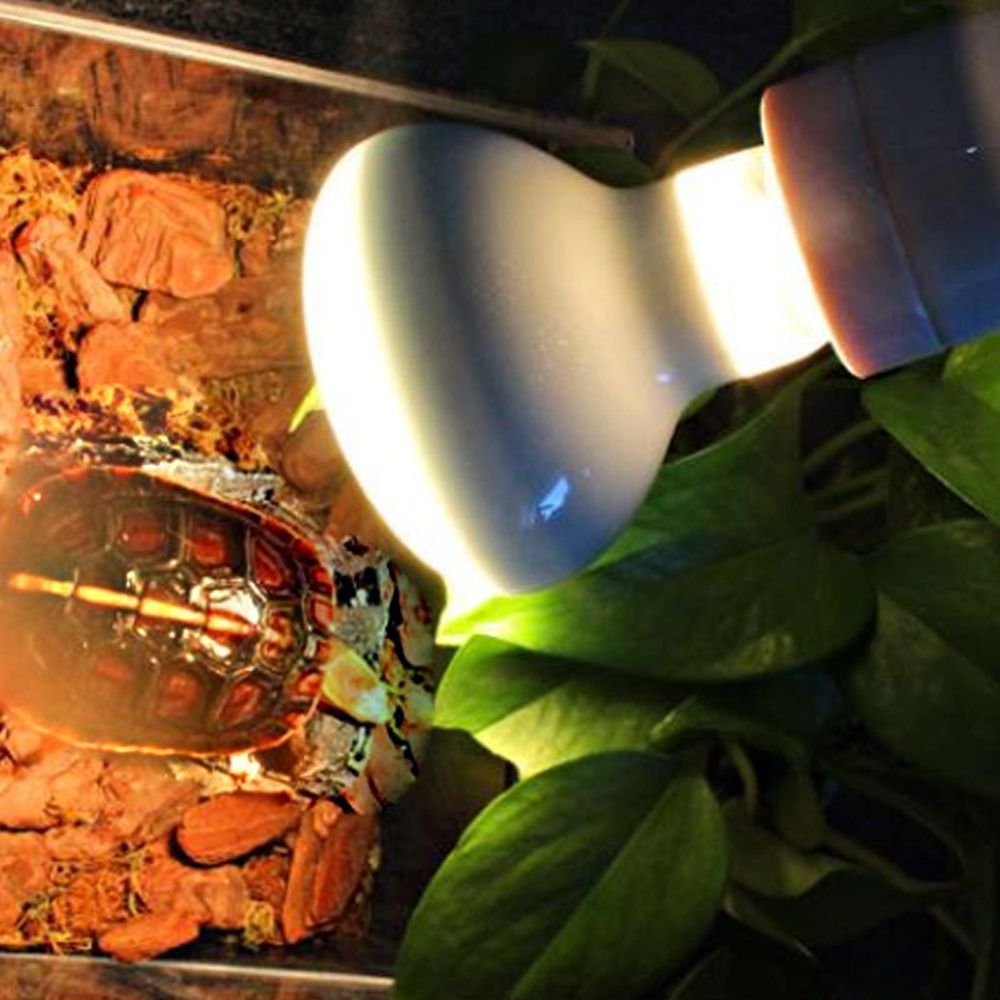 Turtle Heater Temperature Cont - Basking Bulb Halogen recensione e prezzo
