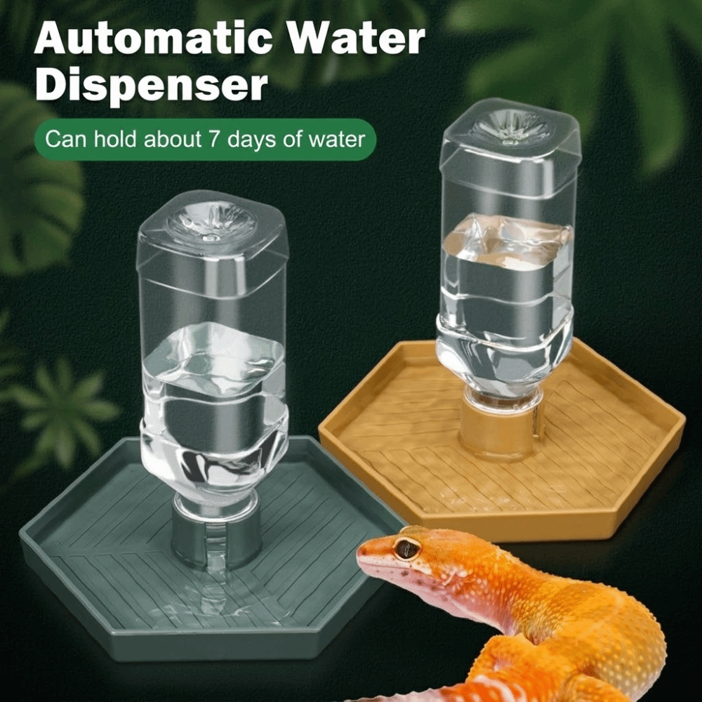 Feeding Supplies Automatic Tur - Water Dish Reptile recensione e prezzo