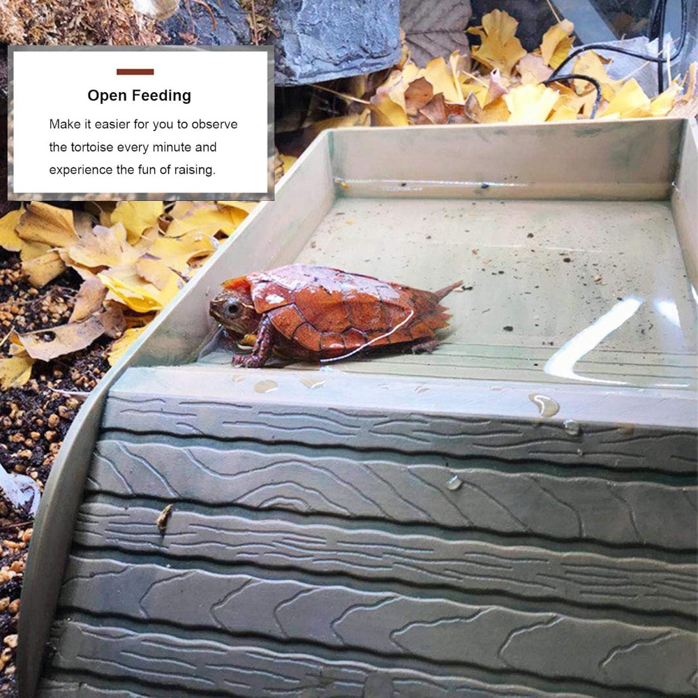 Turtle Bathing Pool Feeding Di - Water Dish Reptile recensione e prezzo