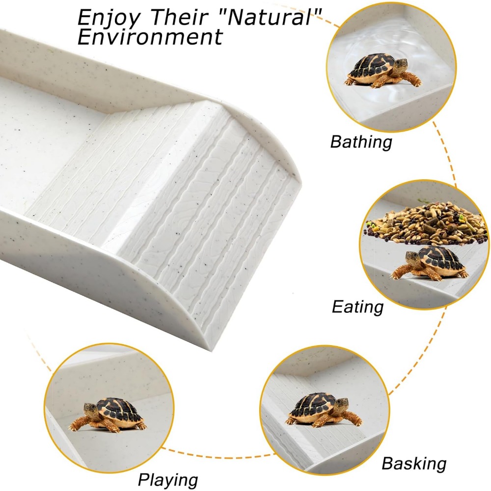 Turtle Bathing Pool Feeding Di - Water Dish Reptile recensione e prezzo