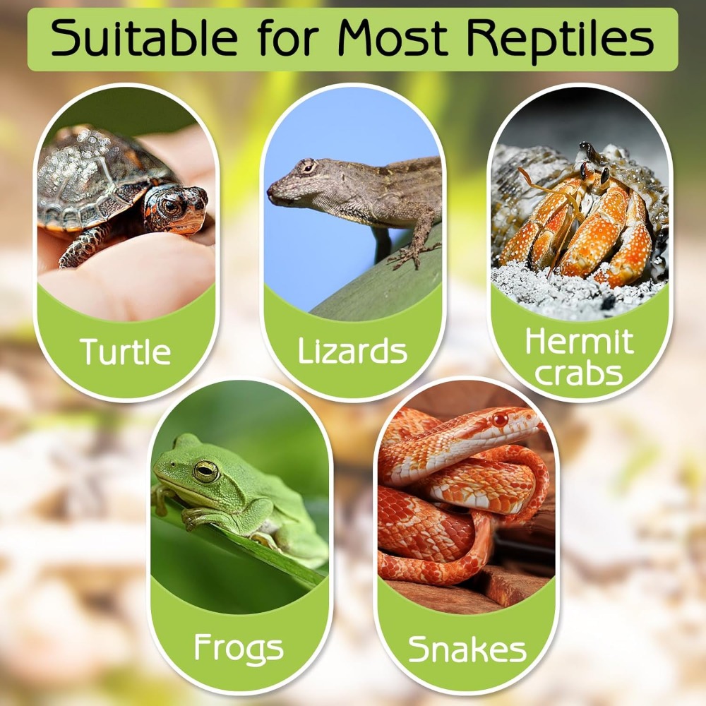 Turtle Bathing Pool Feeding Di - Water Dish Reptile recensione e prezzo