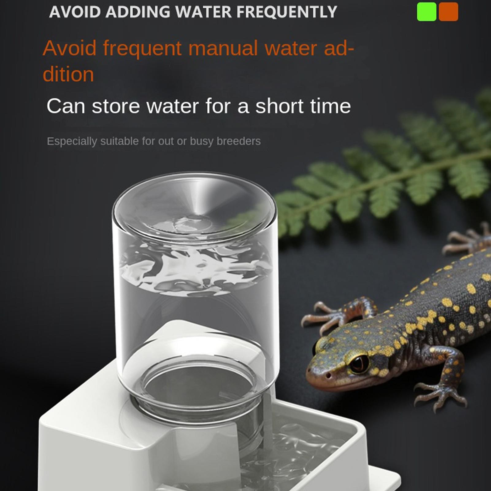 Bearded Dragon Water Fountain  - Water Dish Reptile recensione e prezzo
