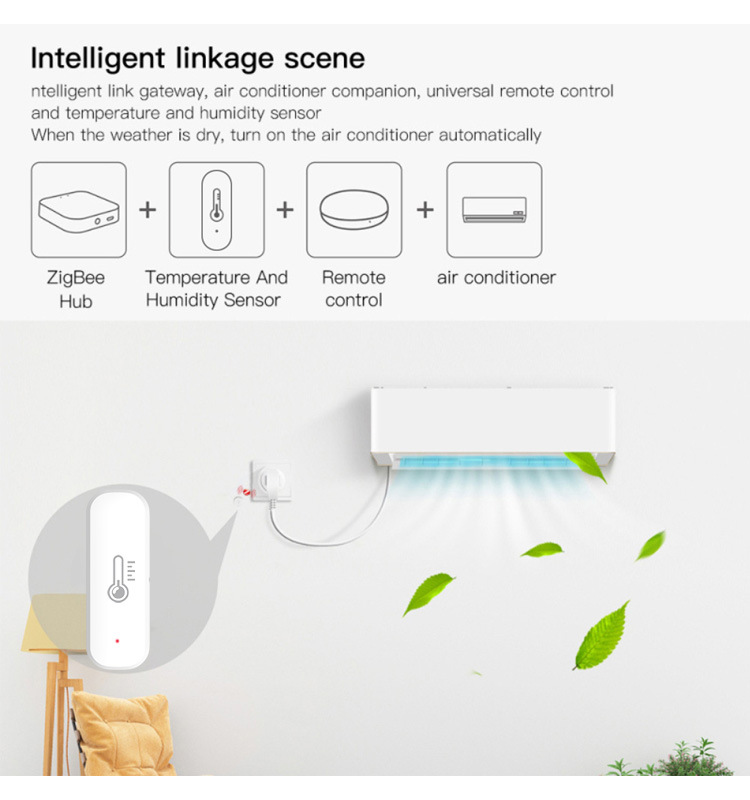 eWeLink Smart ZigBee Temperatu - Digital Hygrometer Probe recensione e prezzo