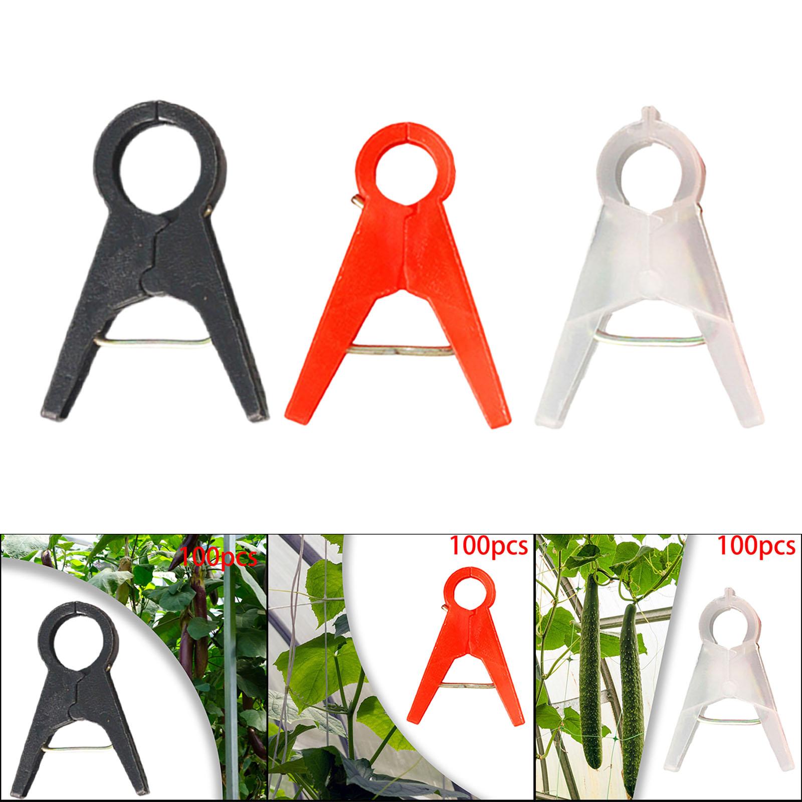 100Pcs Garden Plant Support Cl - Vine Climbing Plastic recensione e prezzo