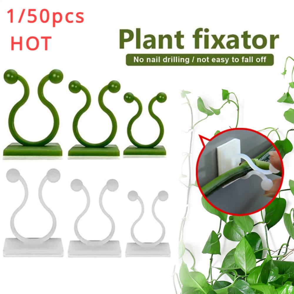 1/30/50Pcs For Garden Accsesor - Vine Climbing Plastic recensione e prezzo