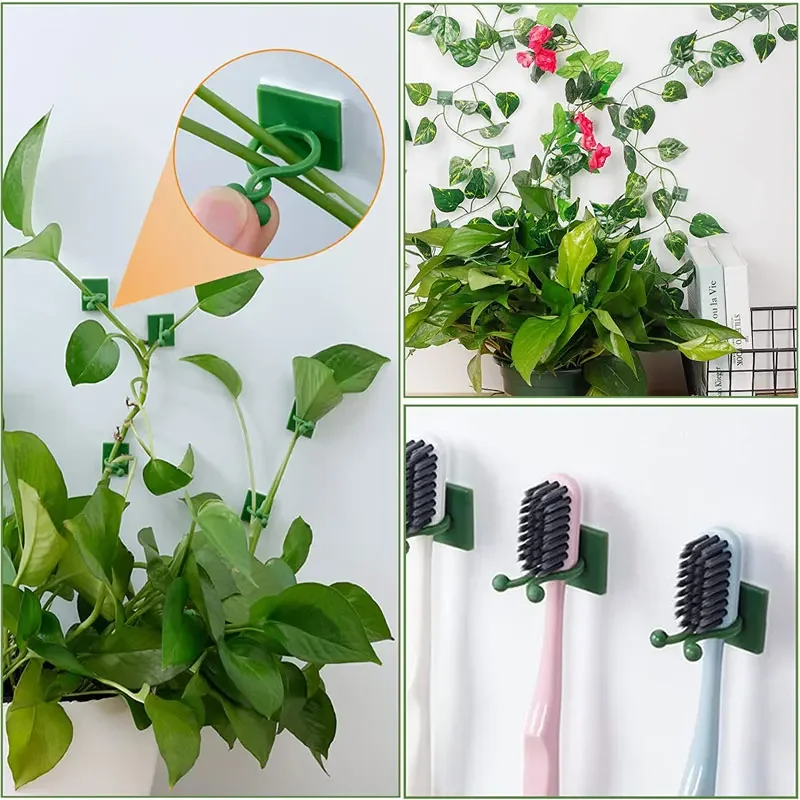 1/30/50Pcs For Garden Accsesor - Vine Climbing Plastic recensione e prezzo