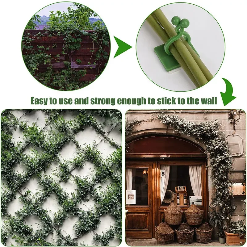 1/30/50Pcs For Garden Accsesor - Vine Climbing Plastic recensione e prezzo