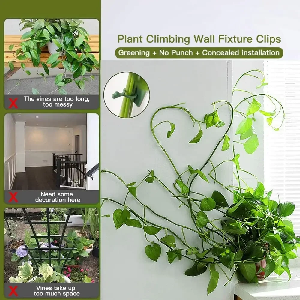 1/30/50Pcs For Garden Accsesor - Vine Climbing Plastic recensione e prezzo