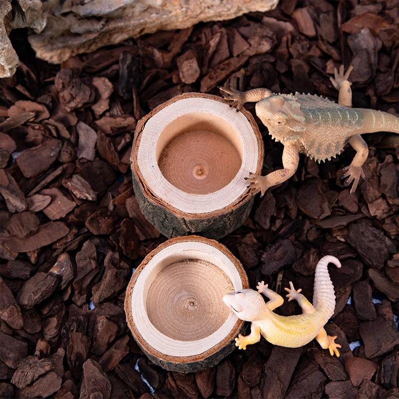 Turtle Water Dish Reptile Feed - Water Dish Reptile recensione e prezzo