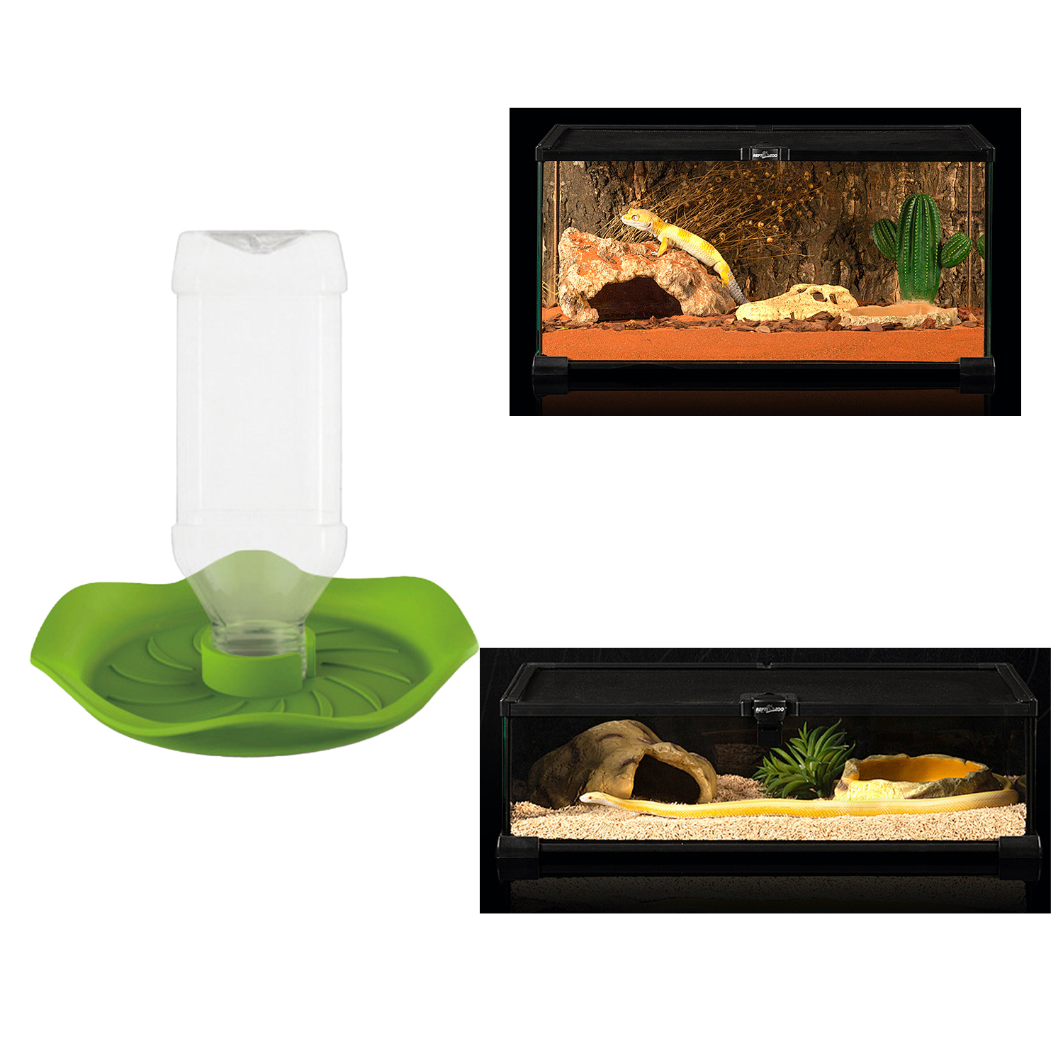 New Reptile Water Drinker Disp - Water Dish Reptile recensione e prezzo