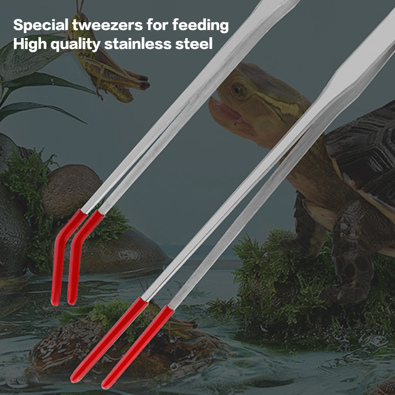 Reptile Feeding Tongs with Rub - Feeding Tong Stainless recensione e prezzo