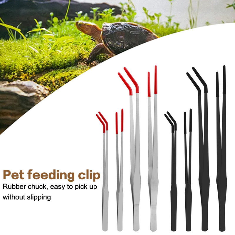 Stainless Steel Reptile Feedin - Feeding Tong Stainless recensione e prezzo