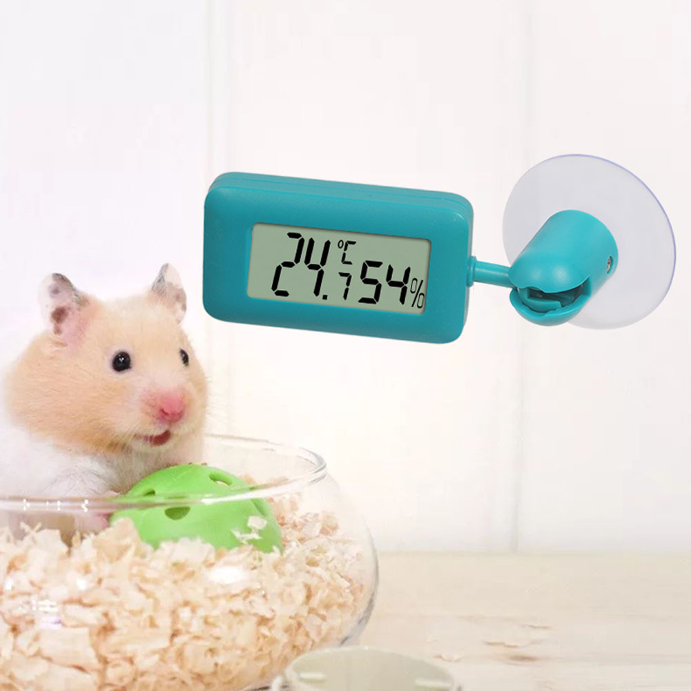 Reptile Thermometer Hygrometer - Digital Hygrometer Probe recensione e prezzo