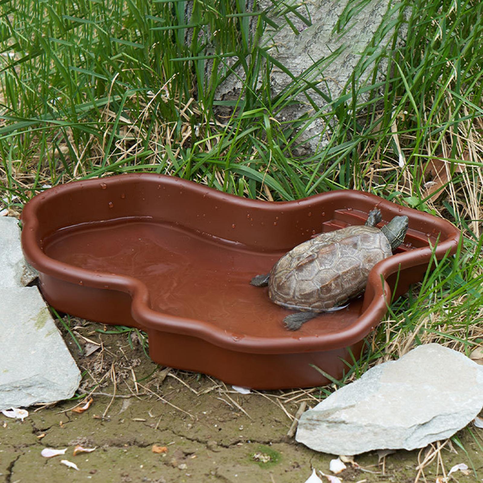 Reptile Bathing Pool Amphibian - Water Dish Reptile recensione e prezzo