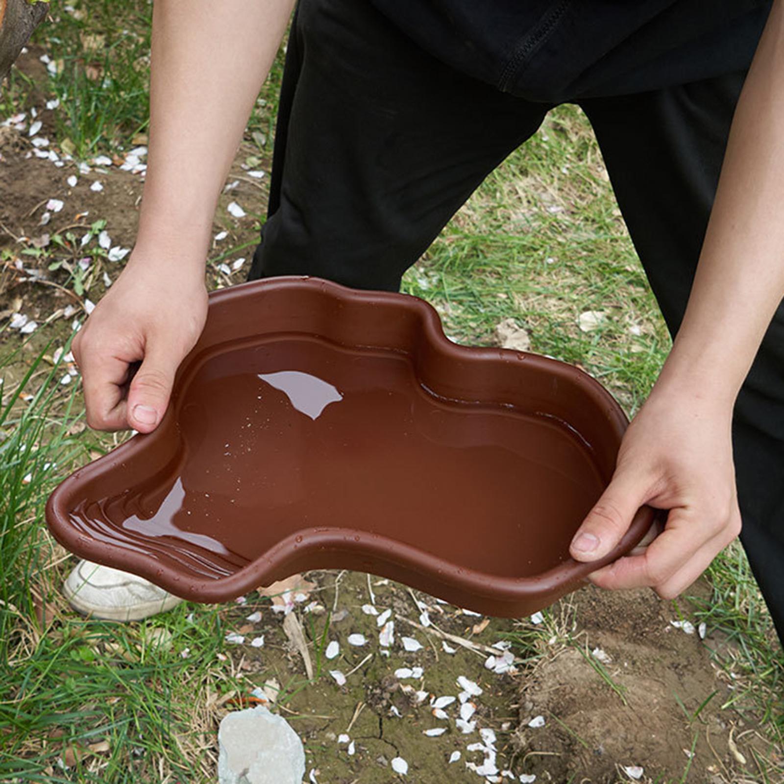 Reptile Bathing Pool Amphibian - Water Dish Reptile recensione e prezzo